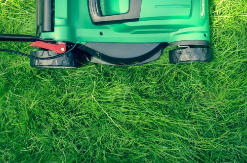 yard with long grass and lawn mower